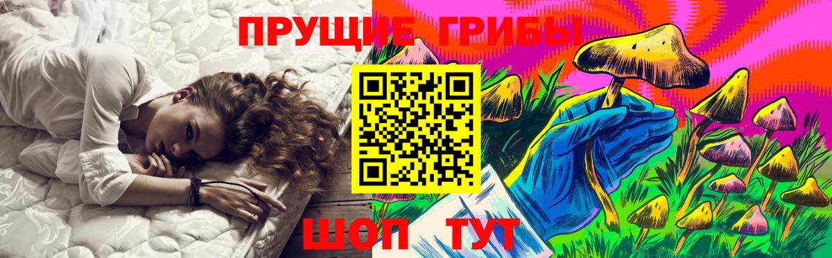 Кушва  Псилоцибиновые грибы GOLDEN TEACHER  Вход с VPN 