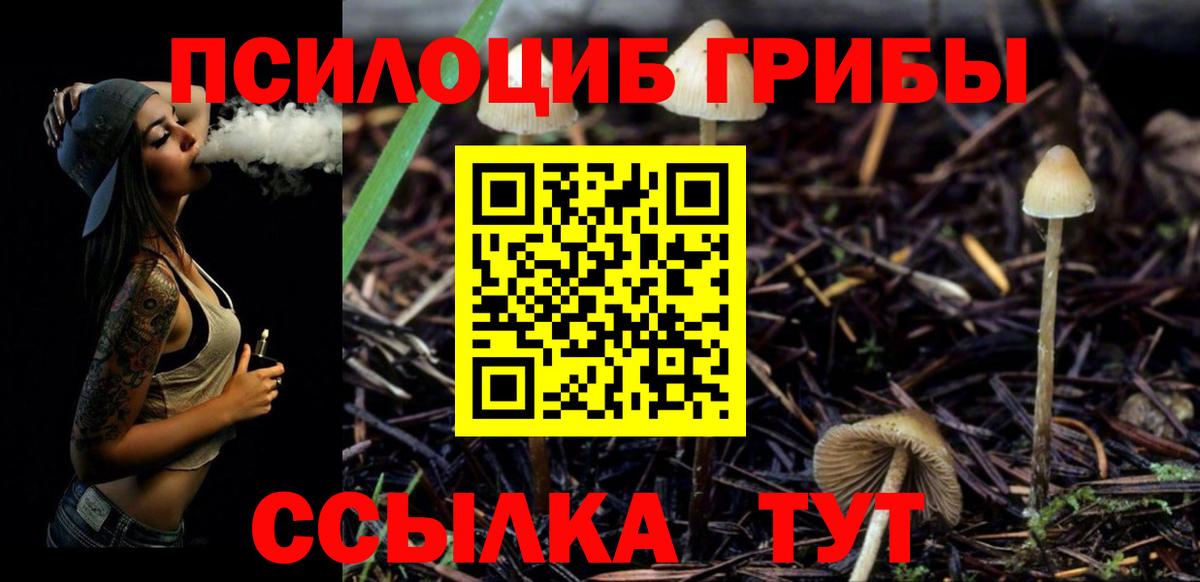 Галлюциногенные грибы Psilocybe Кушва